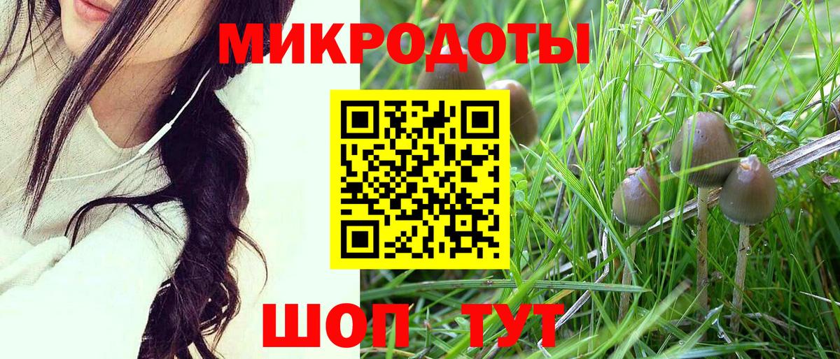 Галлюциногенные грибы Cubensis Гусь-Хрустальный