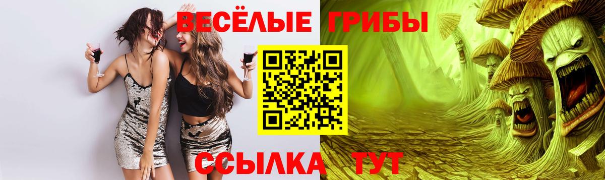 Гусь-Хрустальный  Галлюциногенные грибы Cubensis  Вход с VPN 